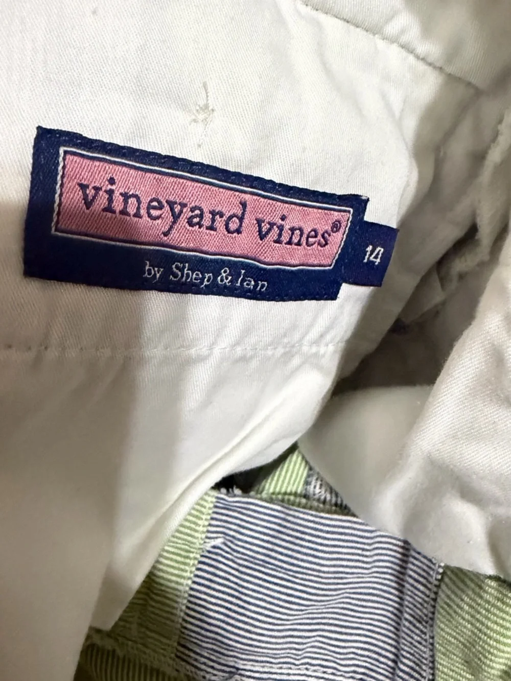 Boys Set of 2 Vineyard Vines Striped Shorts with Light Green and Navy
